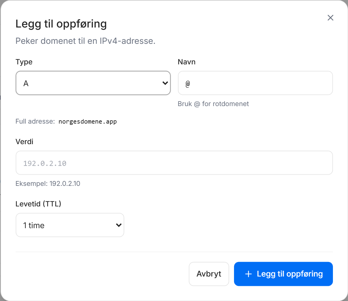 Dialogen «Legg til oppføring» med felt for Type, Navn, Verdi og Levetid (TTL).