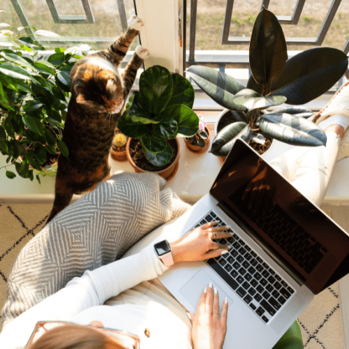 Kvinne med laptop og katt